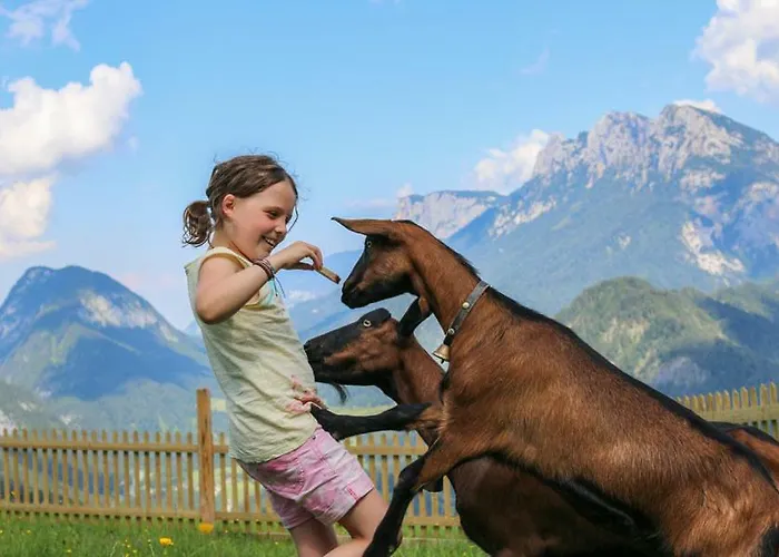 Lejlighed Loderbichl Alm Lofer